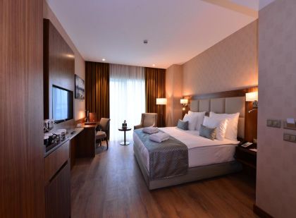 CLARION HOTEL ISTANBUL MAHMUTBEY (5 STARS), AIRPORT (ATATURK)